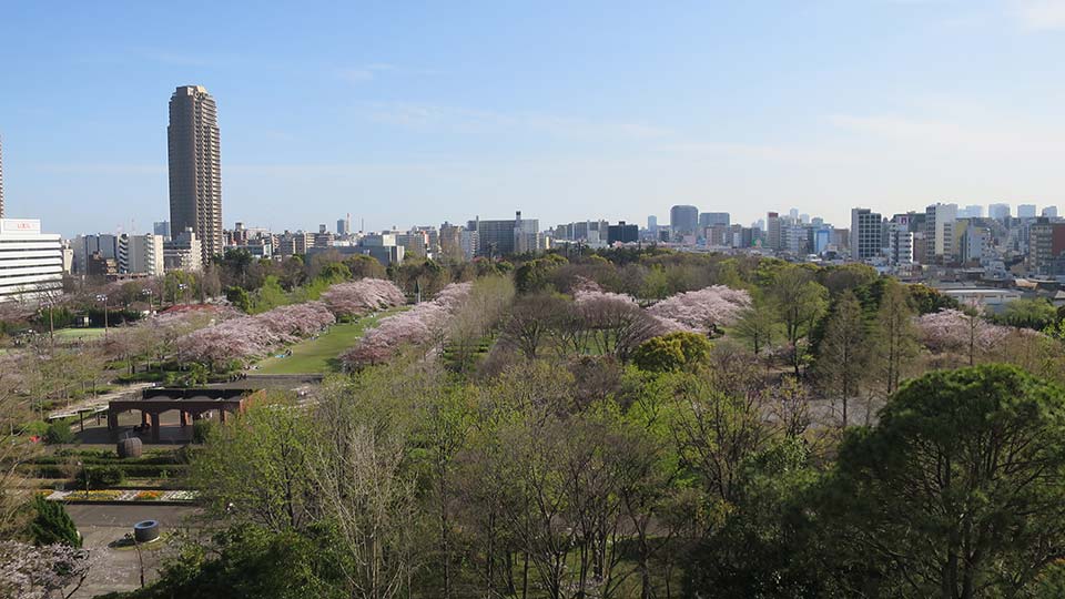 プロロジスアーバン東京錦糸町1(立地遠景) プロロジスアーバン東京錦糸町1(立地遠景)