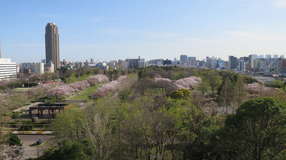 プロロジスアーバン東京錦糸町1（立地遠景）