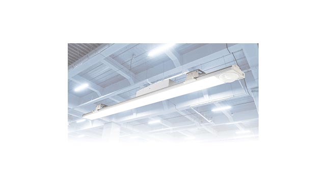 LED｜6436-20