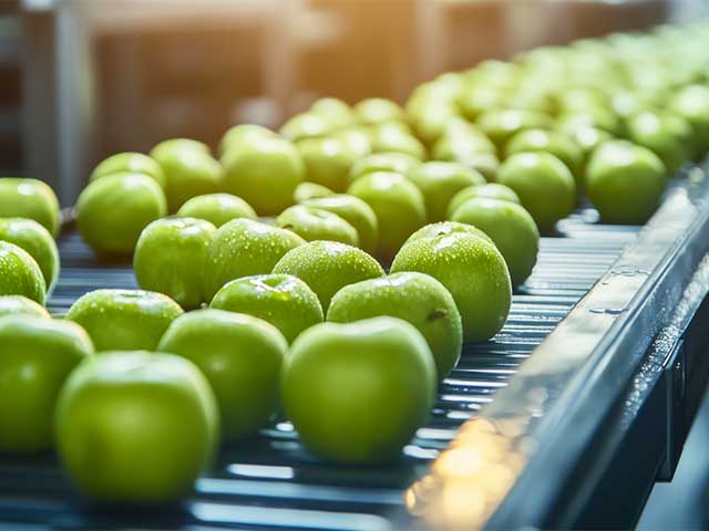 一体型の食品製造・大規模物流拠点｜イメージ