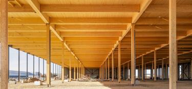 Prologis Evergreen - Mass Timber | 1920667