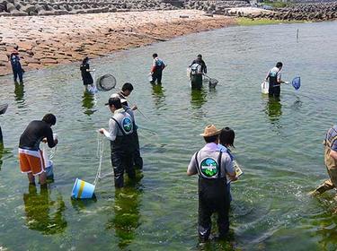 IMPACT Day 大阪湾生き物調査